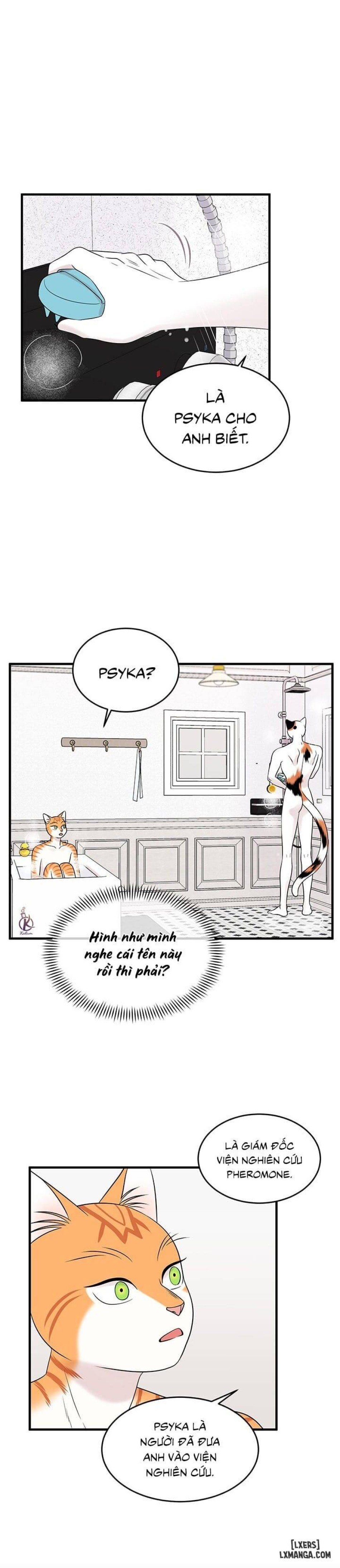 đọc truyện Dự Án Xanh Chương 34 ảnh 8 tại Thiên Thai Truyện