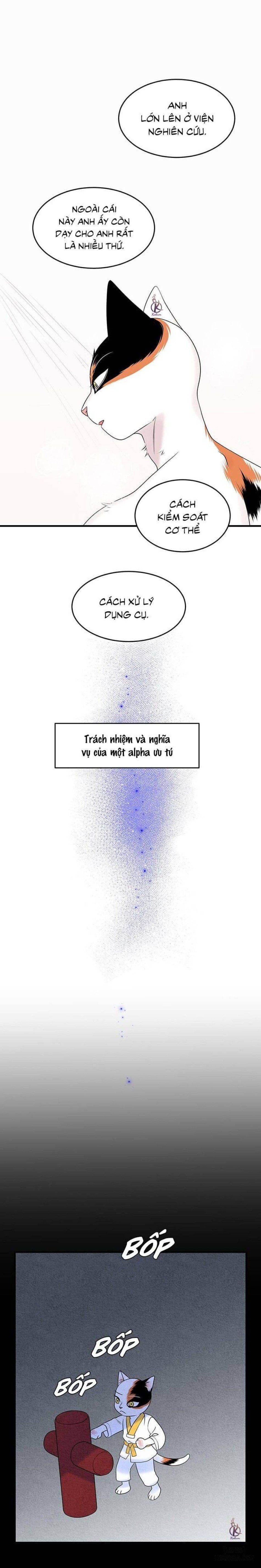 đọc truyện Dự Án Xanh Chương 34 ảnh 9 tại Thiên Thai Truyện