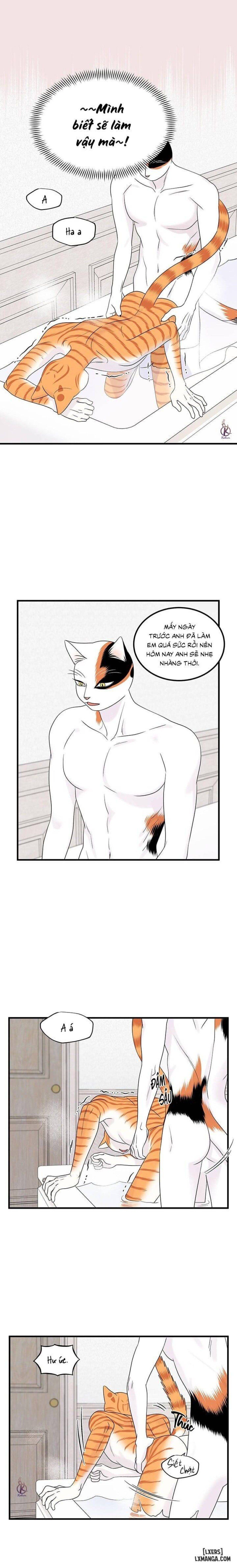 đọc truyện Dự Án Xanh Chương 35 ảnh 12 tại Thiên Thai Truyện