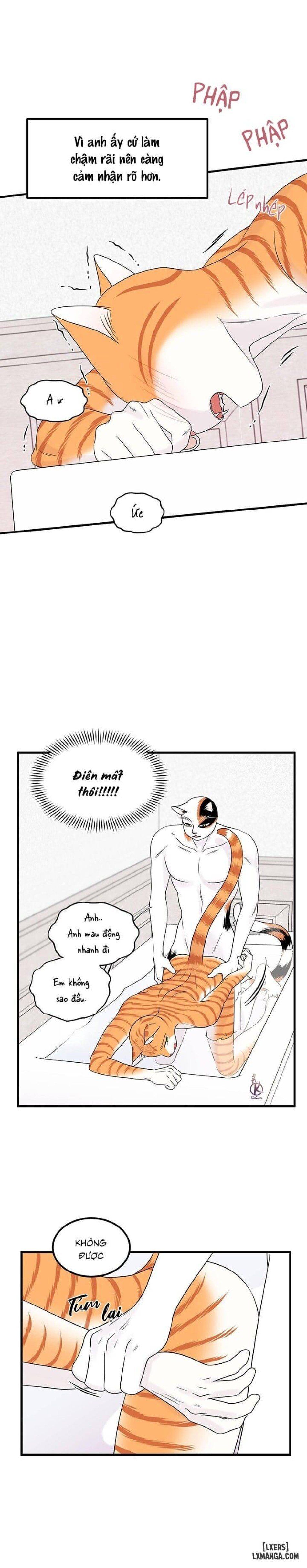 đọc truyện Dự Án Xanh Chương 35 ảnh 13 tại Thiên Thai Truyện