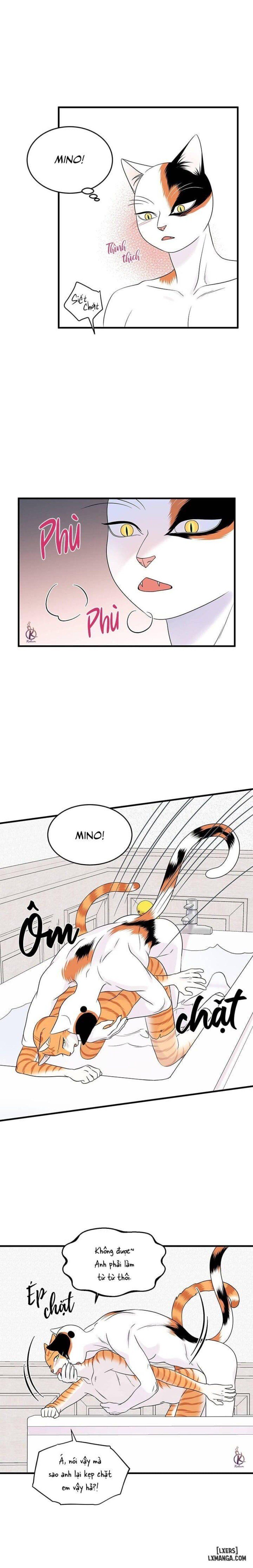 đọc truyện Dự Án Xanh Chương 35 ảnh 15 tại Thiên Thai Truyện