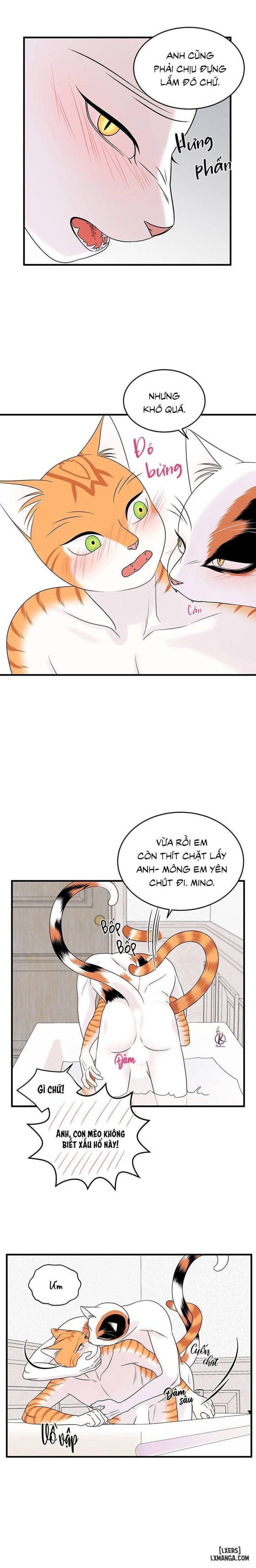 đọc truyện Dự Án Xanh Chương 35 ảnh 16 tại Thiên Thai Truyện