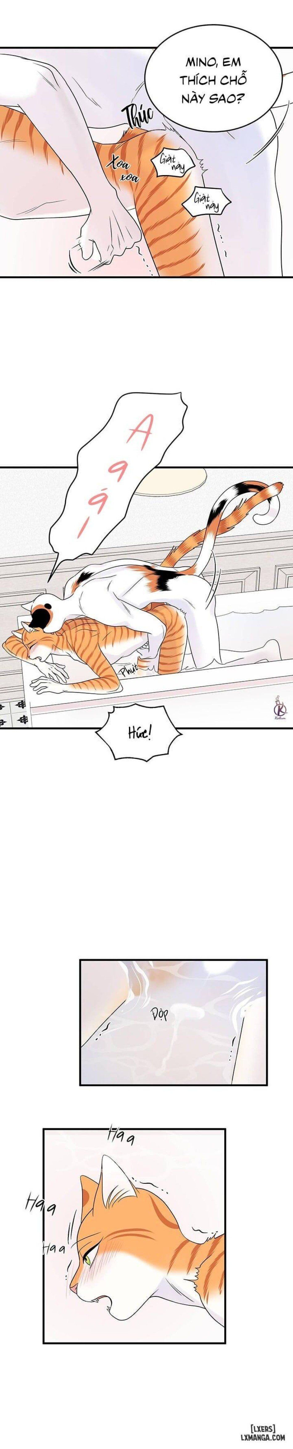 đọc truyện Dự Án Xanh Chương 35 ảnh 18 tại Thiên Thai Truyện