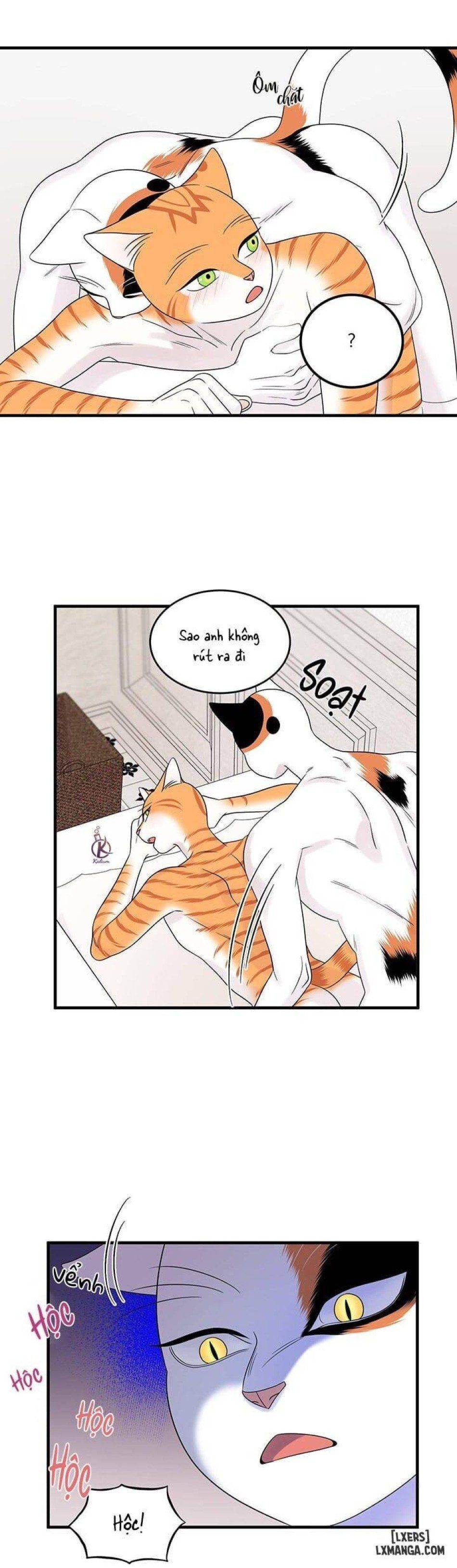 đọc truyện Dự Án Xanh Chương 35 ảnh 19 tại Thiên Thai Truyện