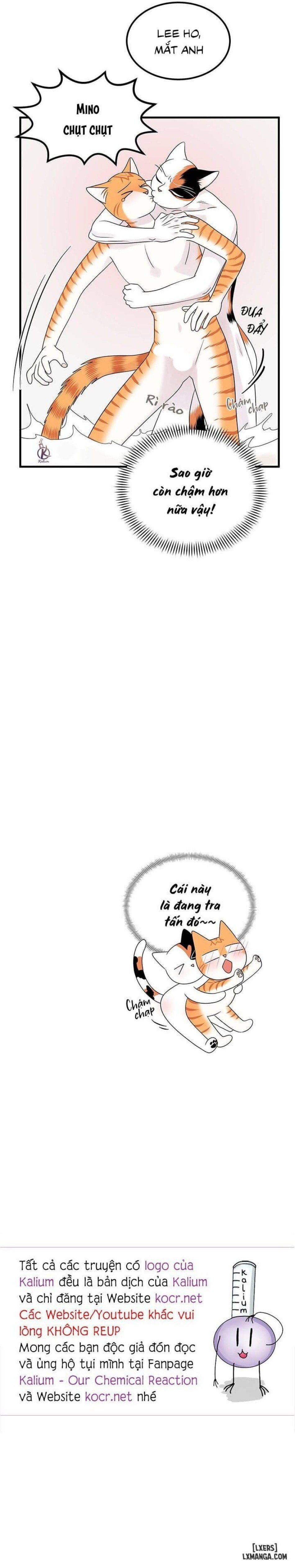 đọc truyện Dự Án Xanh Chương 35 ảnh 20 tại Thiên Thai Truyện