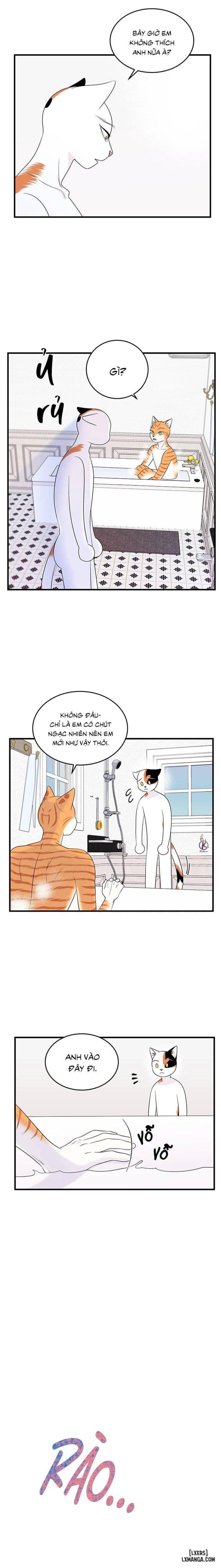 đọc truyện Dự Án Xanh Chương 35 ảnh 4 tại Thiên Thai Truyện