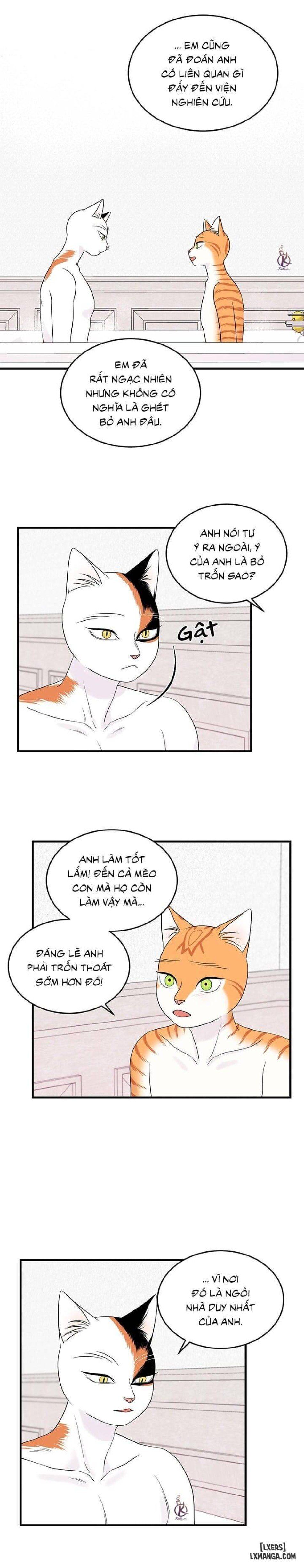 đọc truyện Dự Án Xanh Chương 35 ảnh 5 tại Thiên Thai Truyện