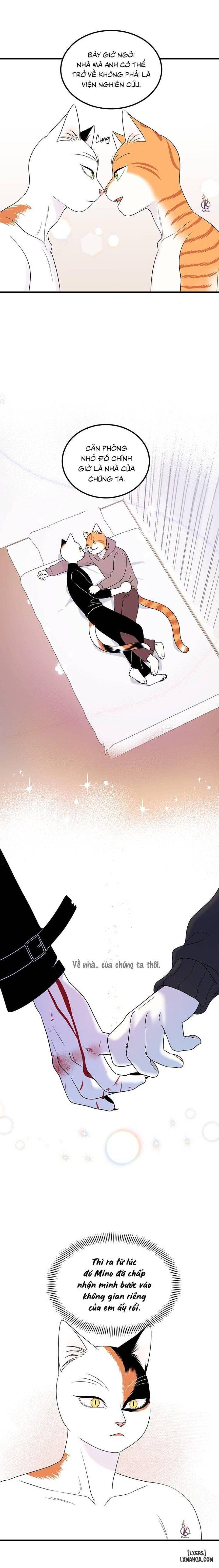 đọc truyện Dự Án Xanh Chương 35 ảnh 7 tại Thiên Thai Truyện