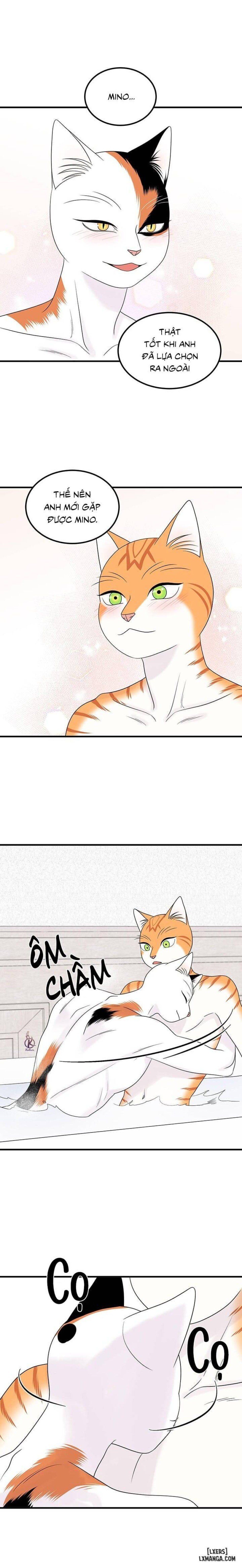 đọc truyện Dự Án Xanh Chương 35 ảnh 8 tại Thiên Thai Truyện