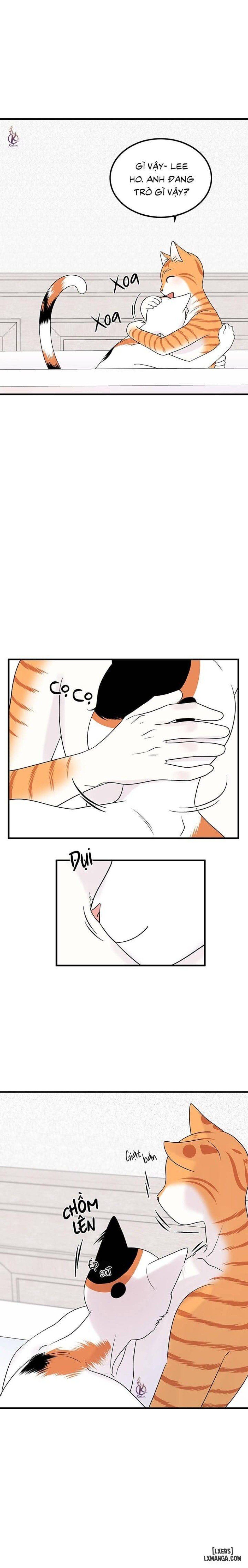 đọc truyện Dự Án Xanh Chương 35 ảnh 9 tại Thiên Thai Truyện