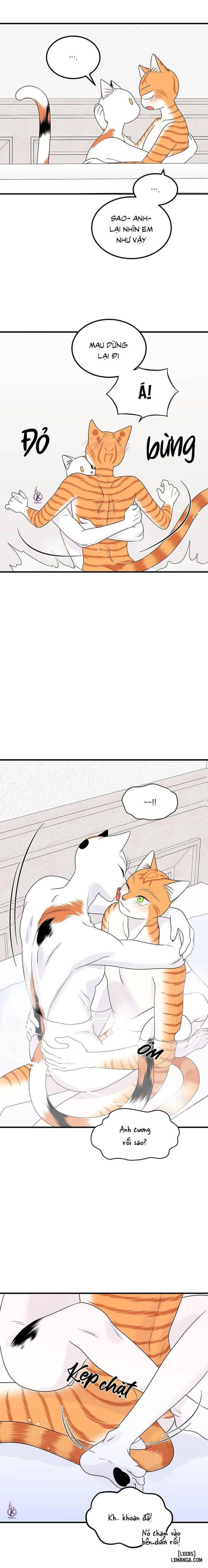 đọc truyện Dự Án Xanh Chương 35 ảnh 10 tại Thiên Thai Truyện