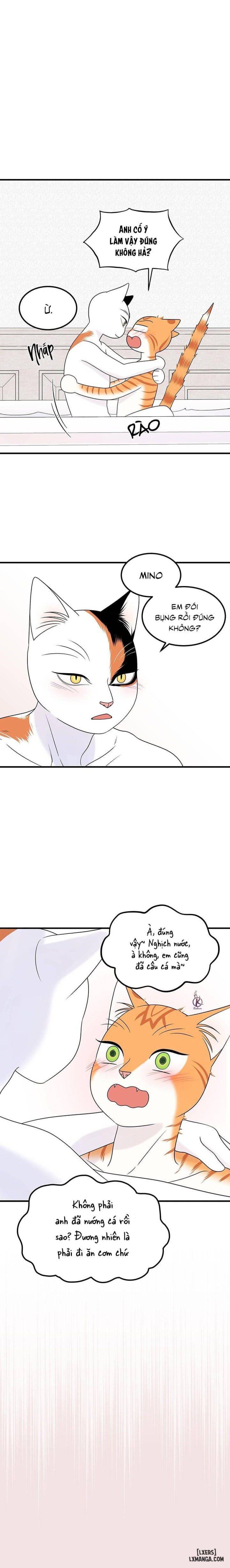 đọc truyện Dự Án Xanh Chương 35 ảnh 11 tại Thiên Thai Truyện