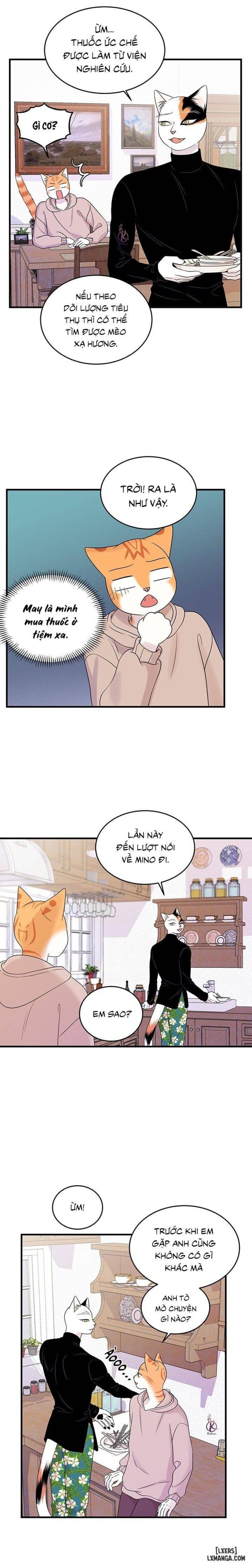 đọc truyện Dự Án Xanh Chương 36 ảnh 12 tại Thiên Thai Truyện