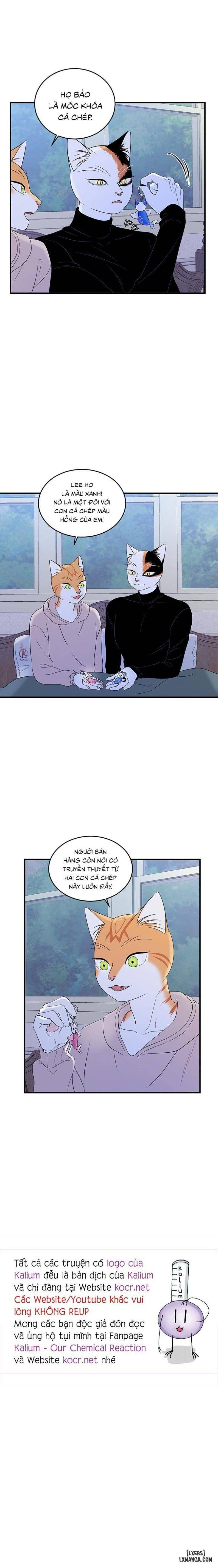 đọc truyện Dự Án Xanh Chương 36 ảnh 18 tại Thiên Thai Truyện