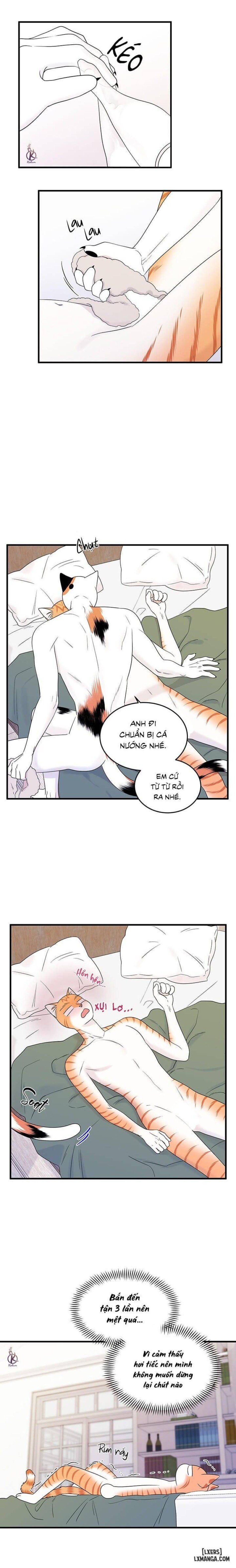 đọc truyện Dự Án Xanh Chương 36 ảnh 4 tại Thiên Thai Truyện