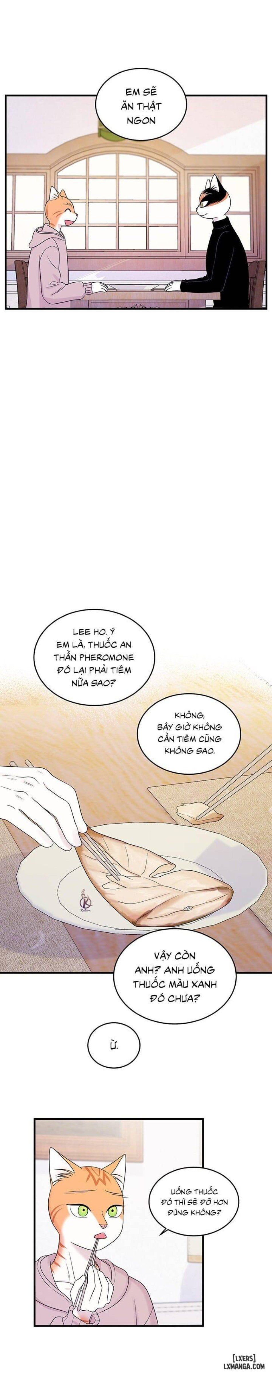 đọc truyện Dự Án Xanh Chương 36 ảnh 7 tại Thiên Thai Truyện