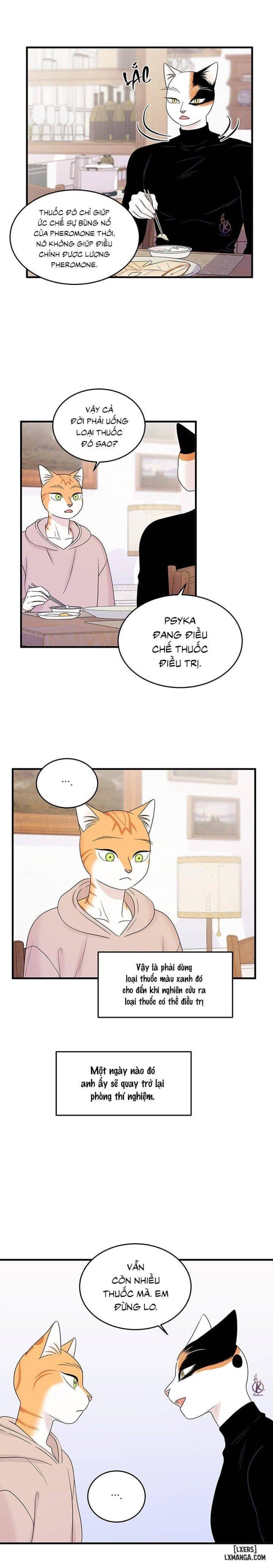 đọc truyện Dự Án Xanh Chương 36 ảnh 8 tại Thiên Thai Truyện