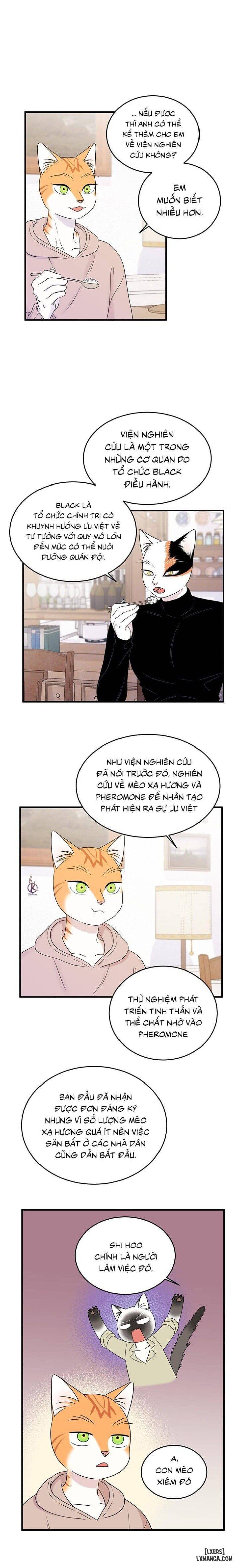 đọc truyện Dự Án Xanh Chương 36 ảnh 9 tại Thiên Thai Truyện