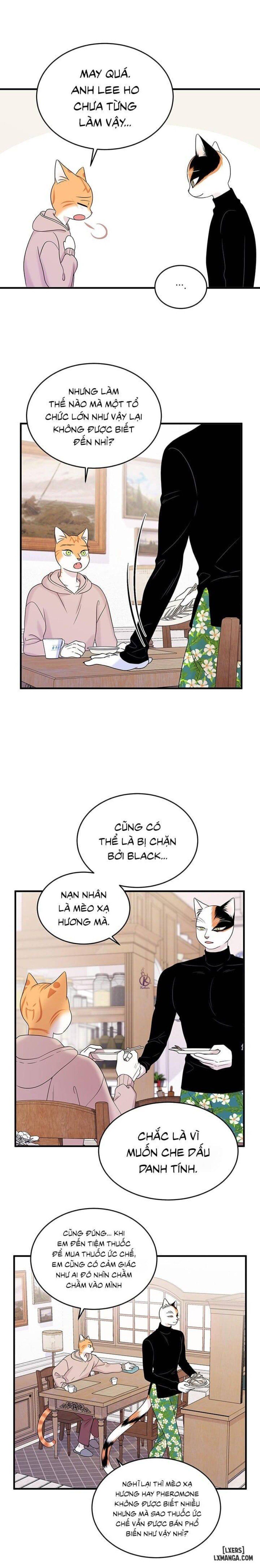 đọc truyện Dự Án Xanh Chương 36 ảnh 11 tại Thiên Thai Truyện