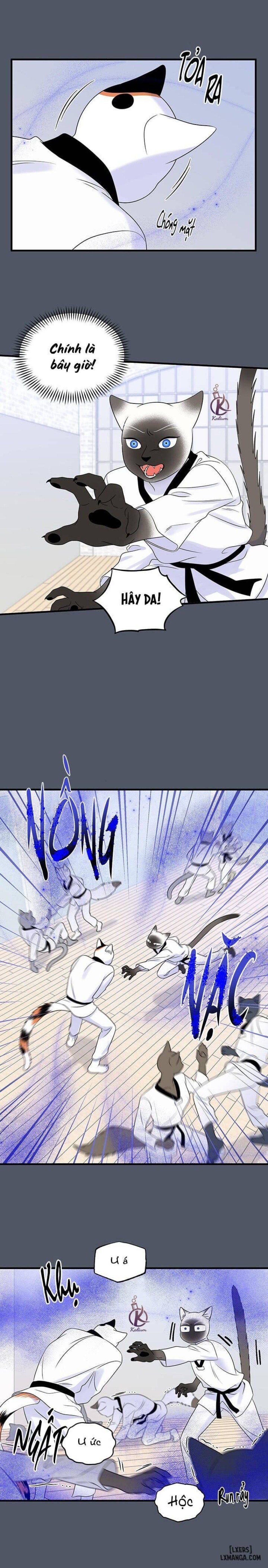 đọc truyện Dự Án Xanh Chương 37 ảnh 12 tại Thiên Thai Truyện