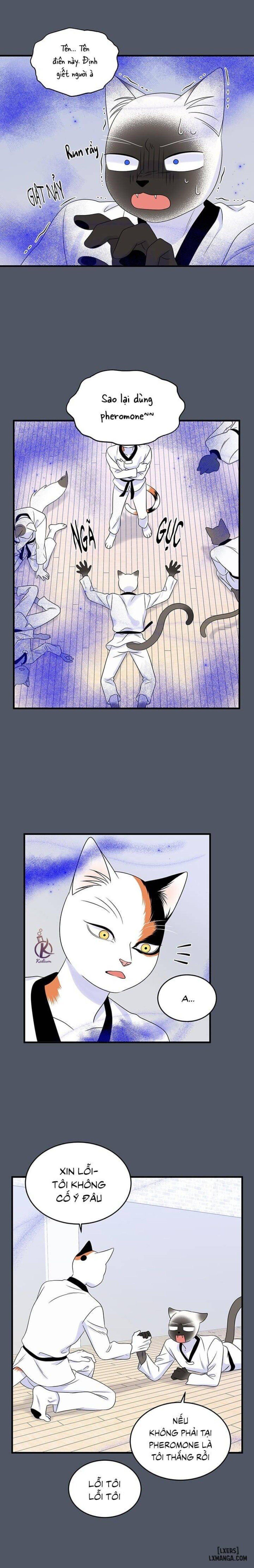 đọc truyện Dự Án Xanh Chương 37 ảnh 13 tại Thiên Thai Truyện