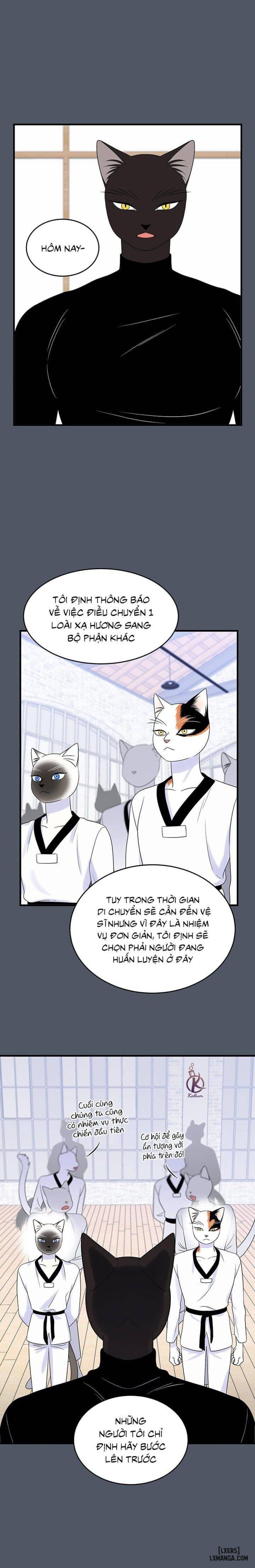 đọc truyện Dự Án Xanh Chương 37 ảnh 15 tại Thiên Thai Truyện