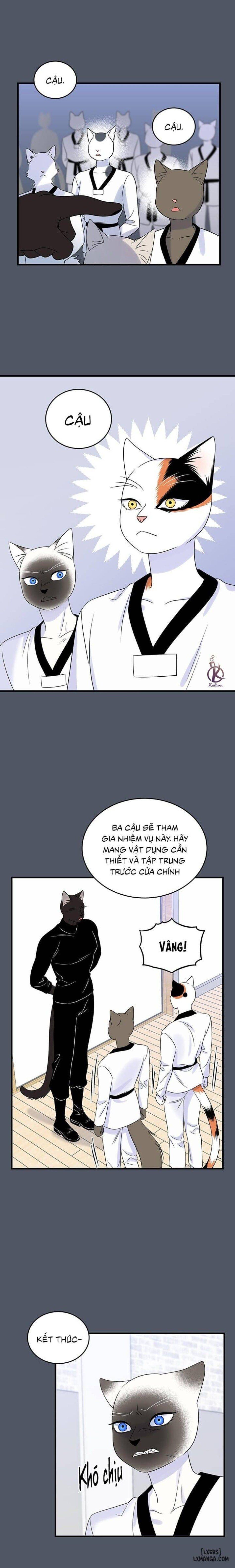 đọc truyện Dự Án Xanh Chương 37 ảnh 16 tại Thiên Thai Truyện