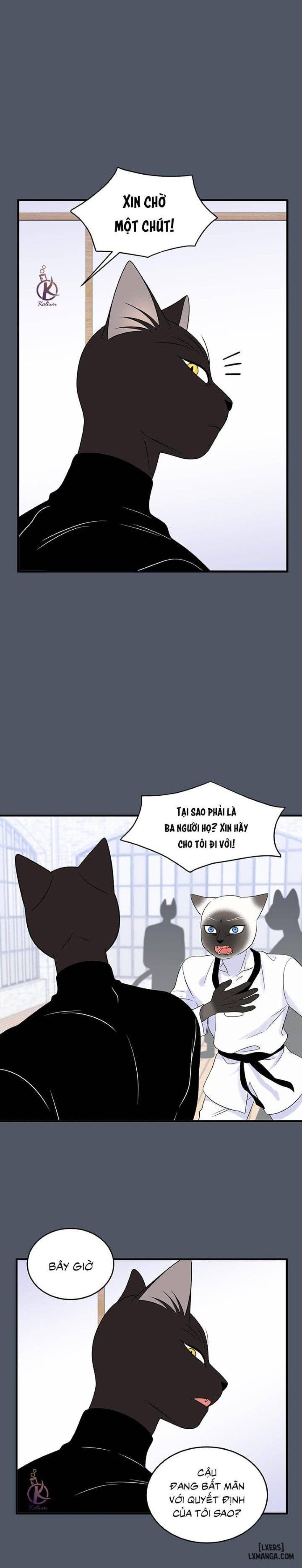 đọc truyện Dự Án Xanh Chương 37 ảnh 17 tại Thiên Thai Truyện