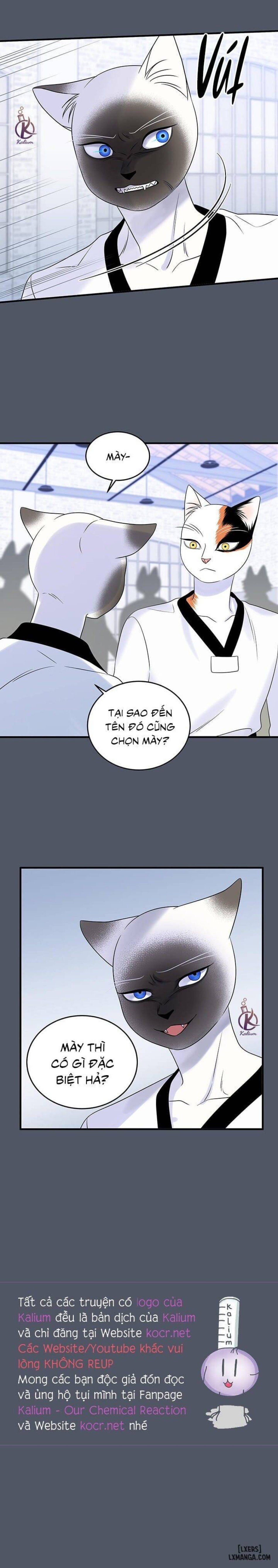 đọc truyện Dự Án Xanh Chương 37 ảnh 19 tại Thiên Thai Truyện