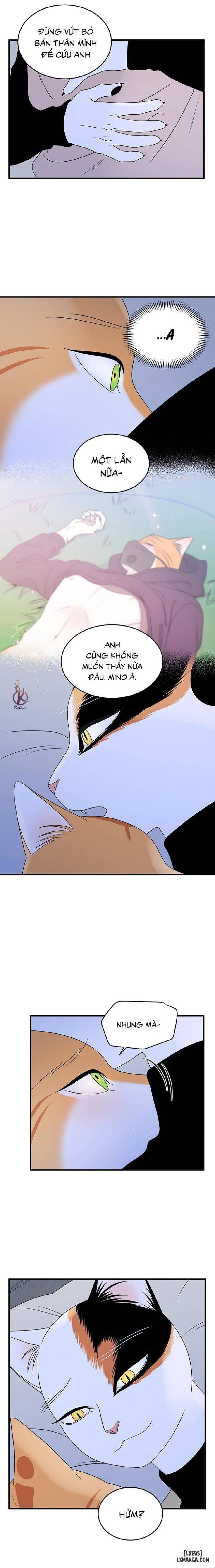 đọc truyện Dự Án Xanh Chương 37 ảnh 7 tại Thiên Thai Truyện