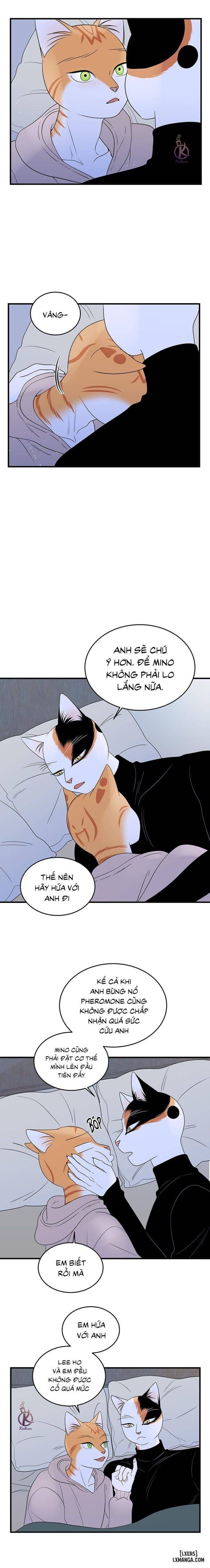 đọc truyện Dự Án Xanh Chương 37 ảnh 8 tại Thiên Thai Truyện