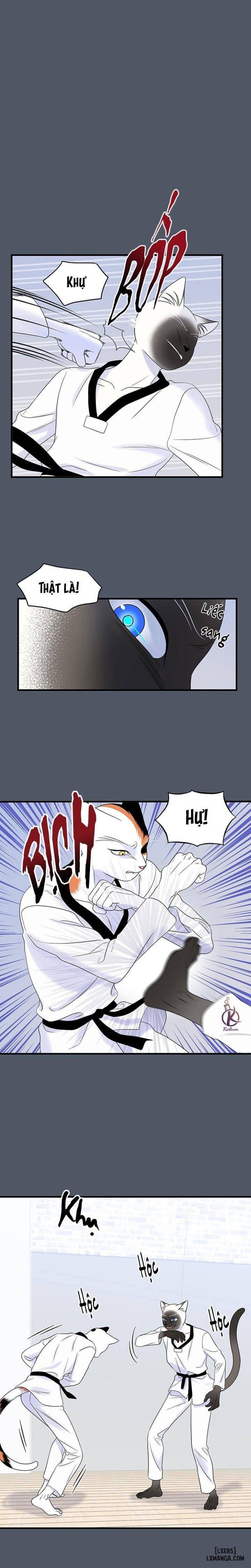 đọc truyện Dự Án Xanh Chương 37 ảnh 11 tại Thiên Thai Truyện