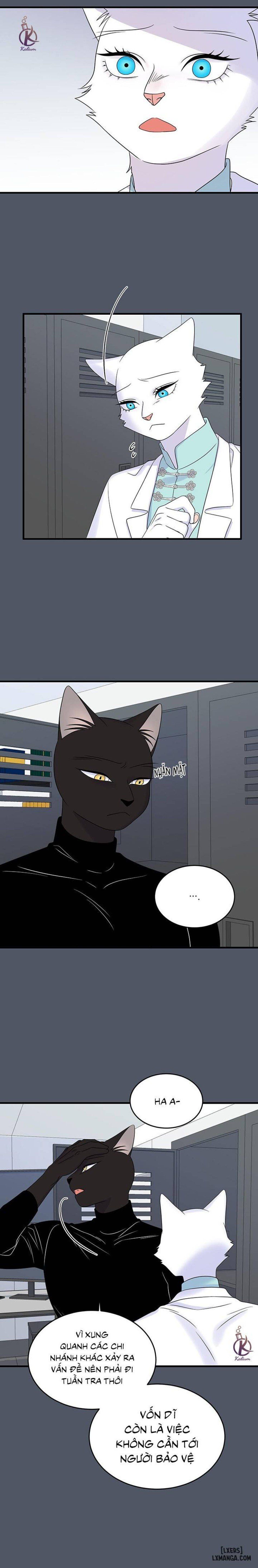 đọc truyện Dự Án Xanh Chương 38 ảnh 15 tại Thiên Thai Truyện