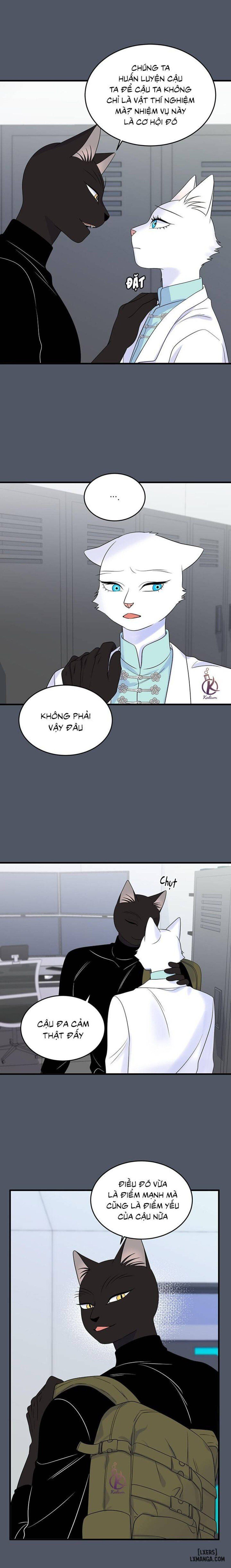 đọc truyện Dự Án Xanh Chương 38 ảnh 18 tại Thiên Thai Truyện