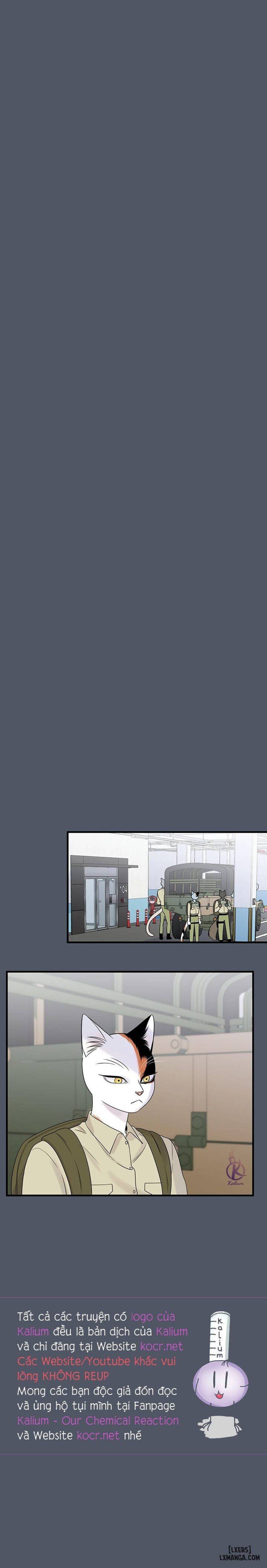 đọc truyện Dự Án Xanh Chương 38 ảnh 19 tại Thiên Thai Truyện