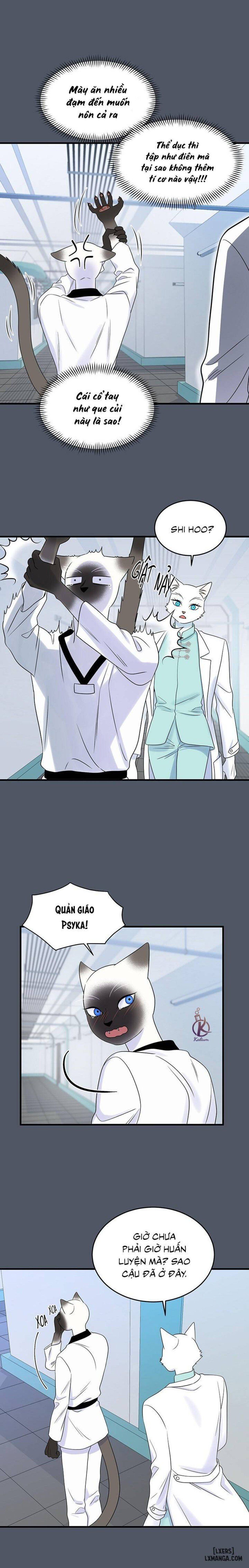 đọc truyện Dự Án Xanh Chương 38 ảnh 6 tại Thiên Thai Truyện