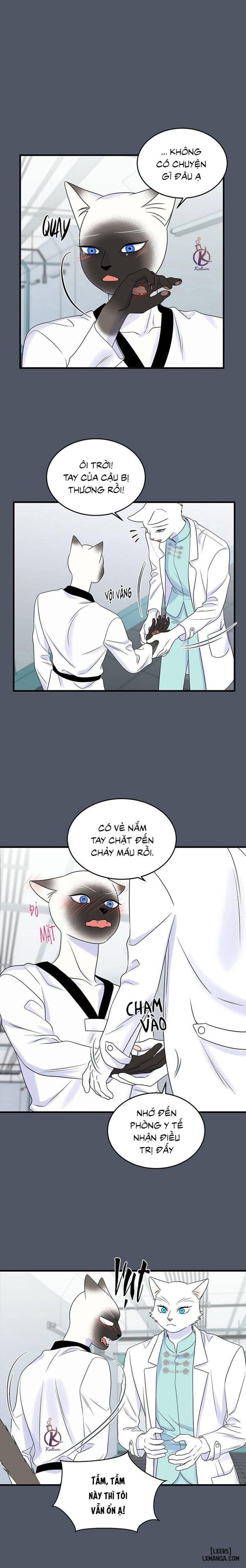 đọc truyện Dự Án Xanh Chương 38 ảnh 7 tại Thiên Thai Truyện