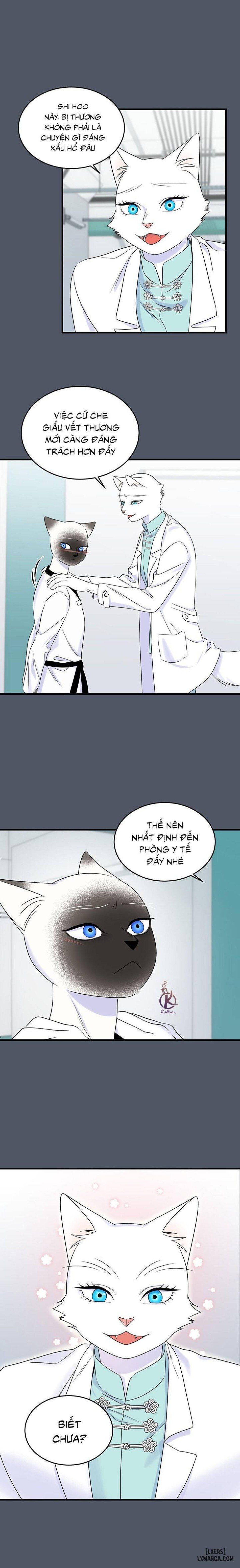 đọc truyện Dự Án Xanh Chương 38 ảnh 8 tại Thiên Thai Truyện