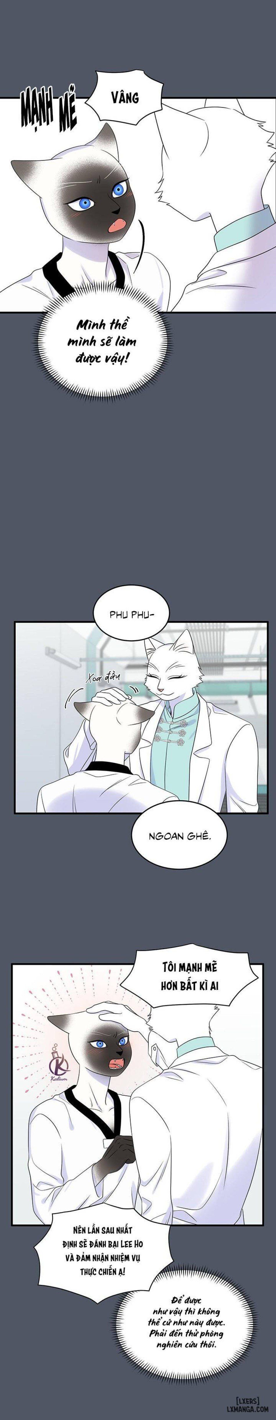 đọc truyện Dự Án Xanh Chương 38 ảnh 10 tại Thiên Thai Truyện