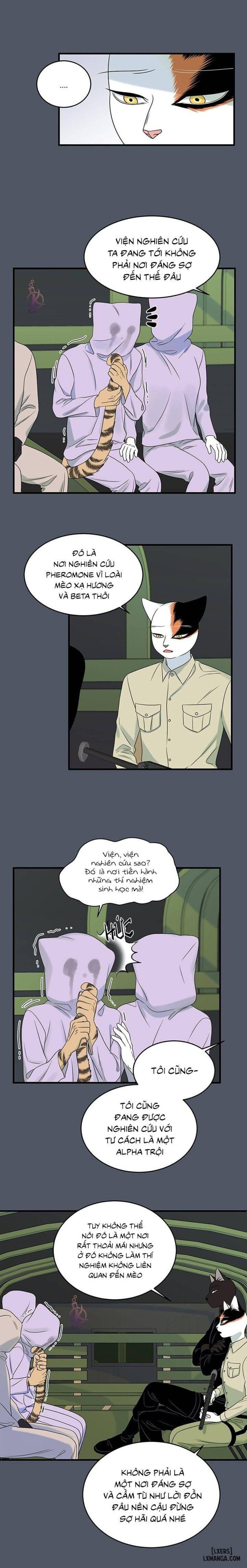 đọc truyện Dự Án Xanh Chương 39 ảnh 12 tại Thiên Thai Truyện