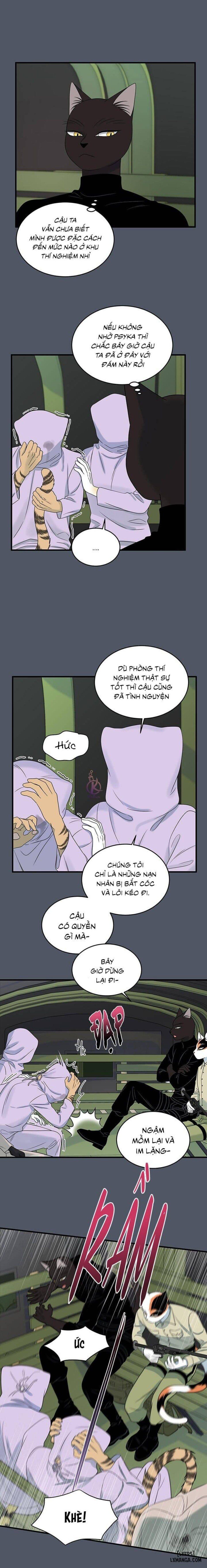 đọc truyện Dự Án Xanh Chương 39 ảnh 13 tại Thiên Thai Truyện