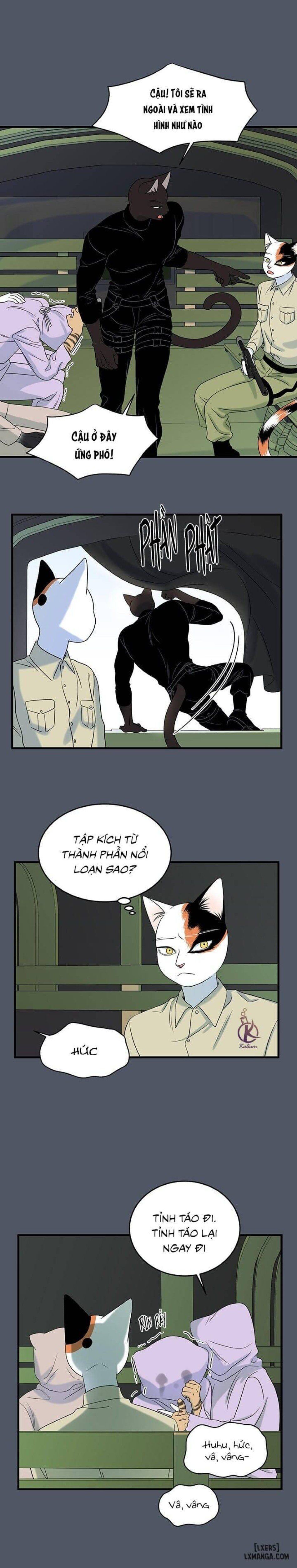 đọc truyện Dự Án Xanh Chương 39 ảnh 15 tại Thiên Thai Truyện