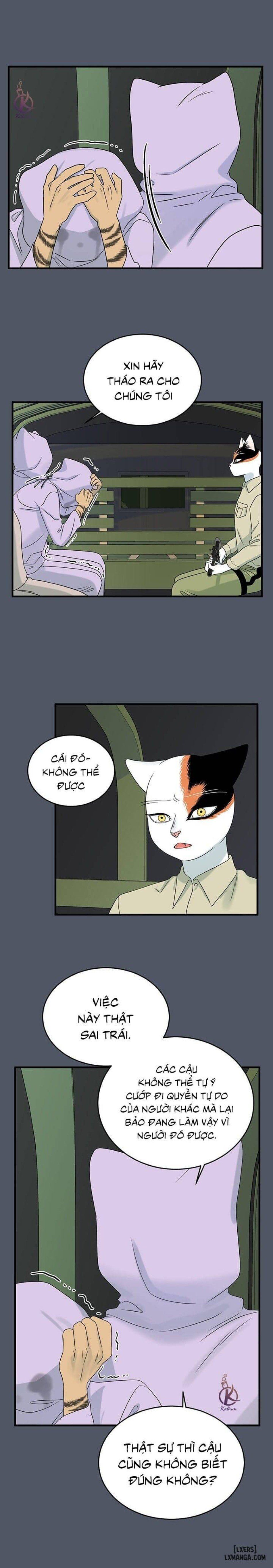 đọc truyện Dự Án Xanh Chương 39 ảnh 16 tại Thiên Thai Truyện