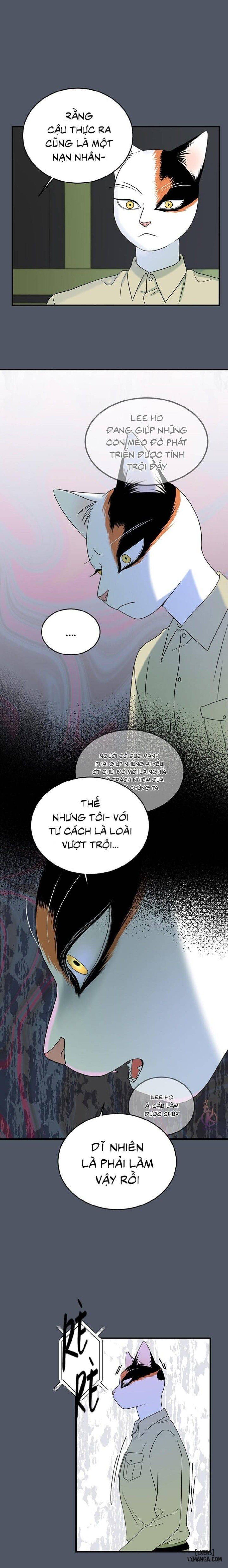 đọc truyện Dự Án Xanh Chương 39 ảnh 17 tại Thiên Thai Truyện