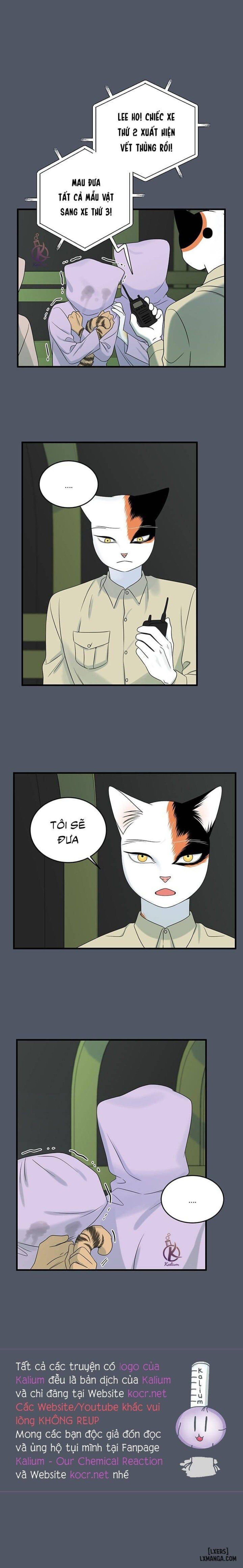 đọc truyện Dự Án Xanh Chương 39 ảnh 18 tại Thiên Thai Truyện