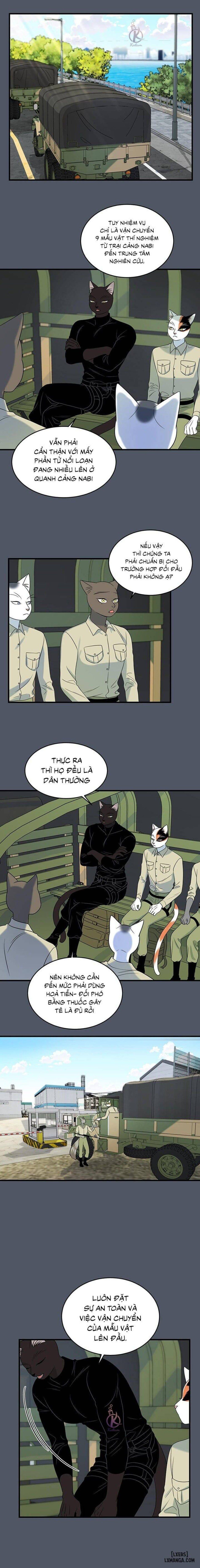 đọc truyện Dự Án Xanh Chương 39 ảnh 7 tại Thiên Thai Truyện