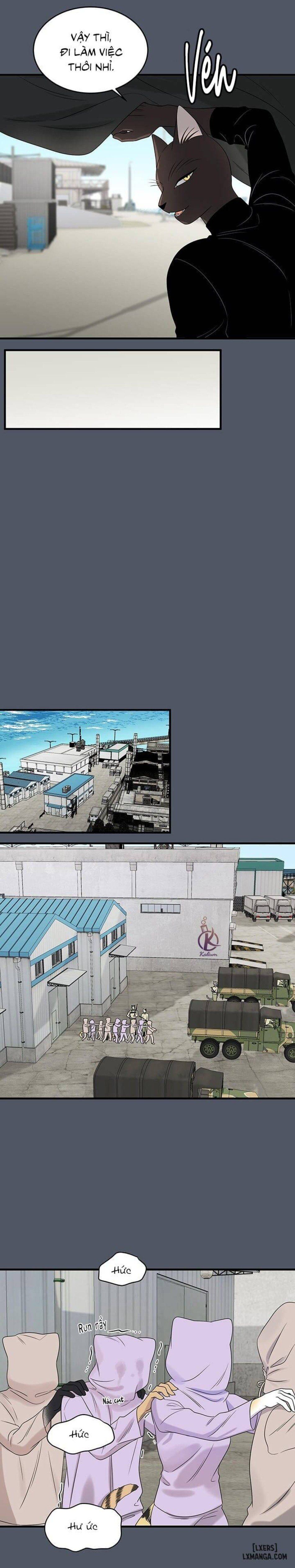 đọc truyện Dự Án Xanh Chương 39 ảnh 8 tại Thiên Thai Truyện