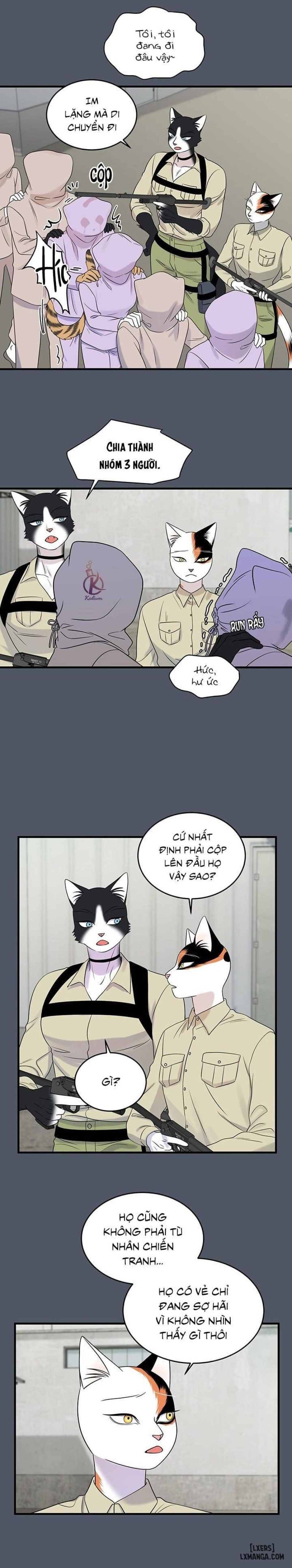 đọc truyện Dự Án Xanh Chương 39 ảnh 9 tại Thiên Thai Truyện