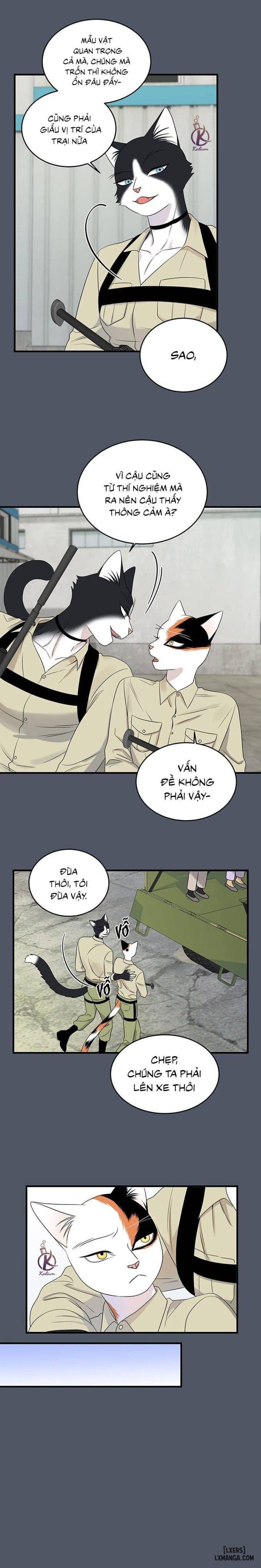 đọc truyện Dự Án Xanh Chương 39 ảnh 10 tại Thiên Thai Truyện