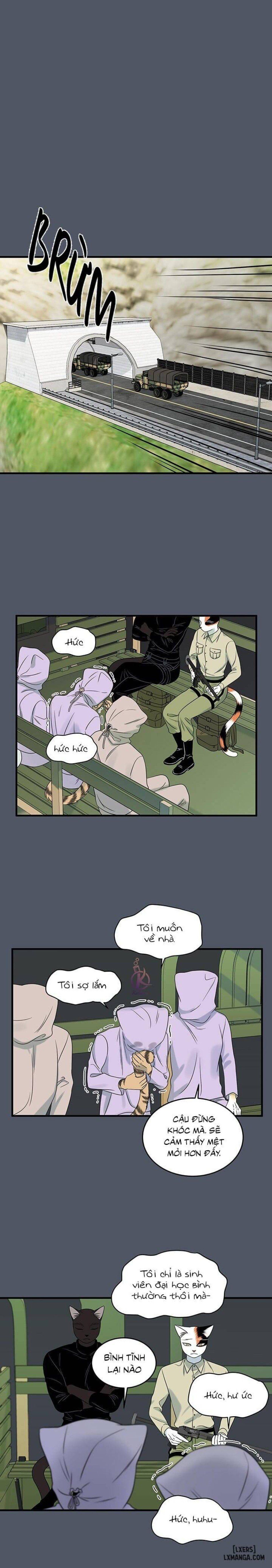 đọc truyện Dự Án Xanh Chương 39 ảnh 11 tại Thiên Thai Truyện